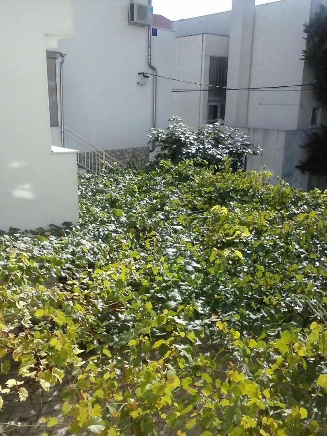 Apartmani Maric Selce Εξωτερικό φωτογραφία